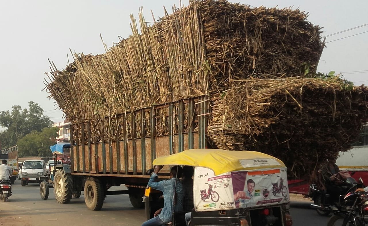 कहीं जानलेवा न बन जायें ओवरलोड गन्ना भरे ट्रक-ट्राला, विभागीय अधिकारी, पुलिस, आरटीओ भी नहीं करते हैं चेकिंग | New India Times