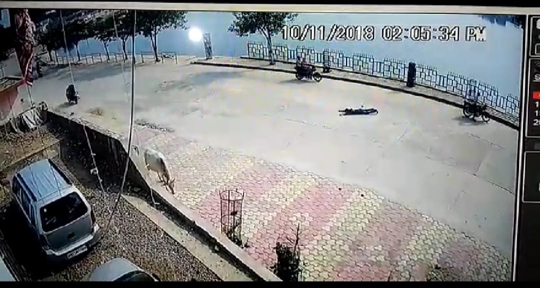 3 फीट हवा में उछलकर सड़क पर गिरा बाइक सवार, घटना मंदिर पर लगे सीसीटीवी कैमरे में हुई कैद | New India Times