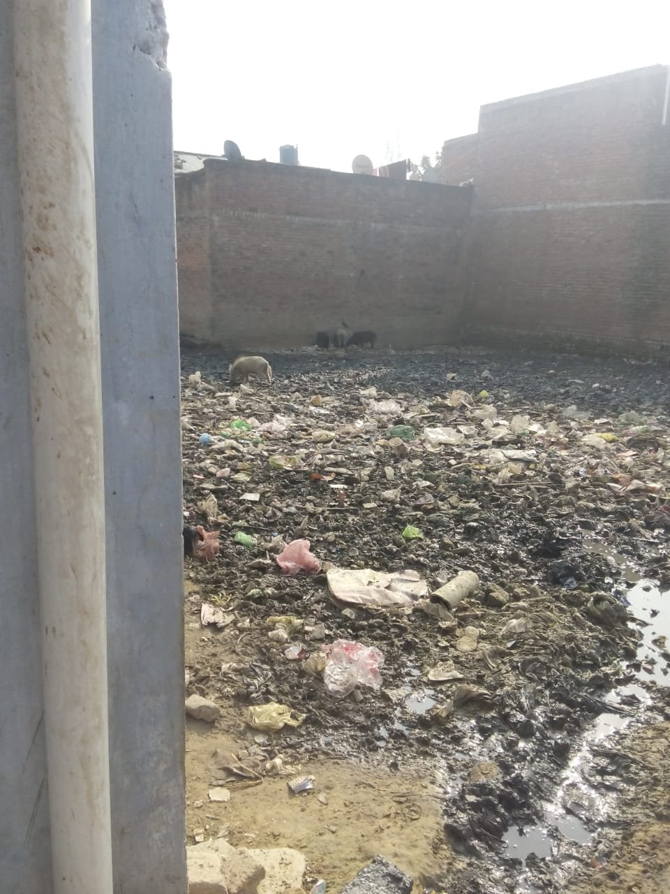 भ्रष्ट नेताओं की बलि चढ़ा गृह मंत्री राजनाथ सिंह के लोकसभा क्षेत्र फैजुल्लाह गंज का विकास, दशकों से विकास की राह देख रहे हैं क्षेत्रवासी | New India Times