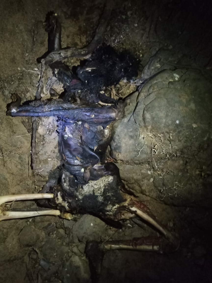 पुलिस ने किया अंधे कत्ल का खुलासा, प्रेमी ने ही की थी प्रेमिका की हत्या | New India Times