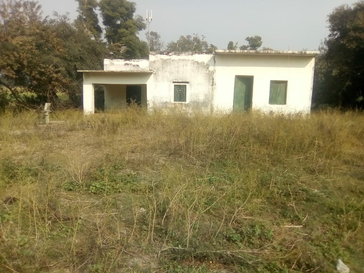 उपेक्षा से बदहाल हो रहे पंचायत भवन, कहीं अबैध कब्जेदारी तो कहीं झाड़ झंखाड़ में तब्दील हो गये हैं भवन | New India Times