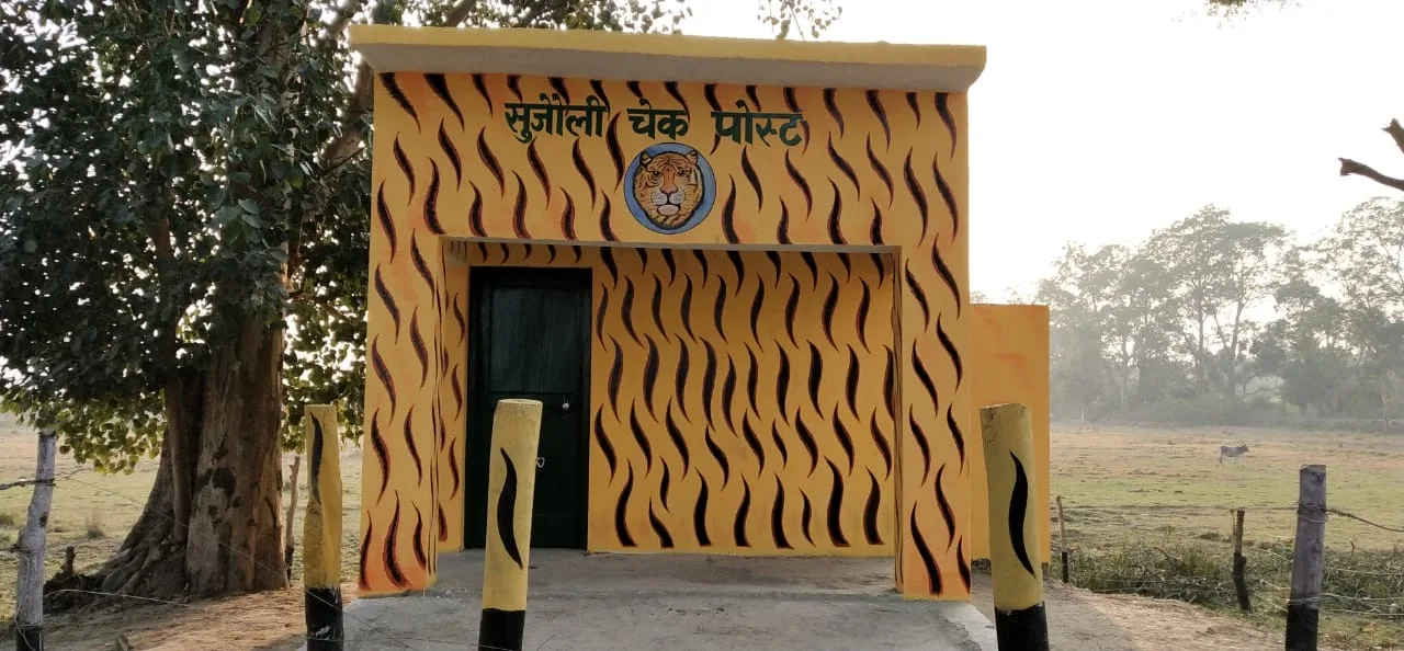 न साधन न संसाधन कैसे करें शिकारियों व वन माफियाअों का मुकाबला, बिना स्टाफ ही वन विभाग ने चलाये कई सर्च आपरेशन | New India Times
