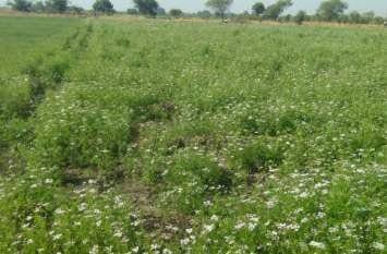 मध्य प्रदेश के 6 जिलों में शीतलहर से फसलों को हुए नुकसान का सर्वे प्रारंभ | New India Times