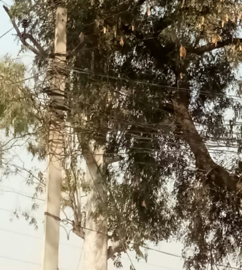 लटकते बिजली के तार दे रहे हैं दुर्घटना को दावत, विभाग बना हुआ है अंजान | New India Times