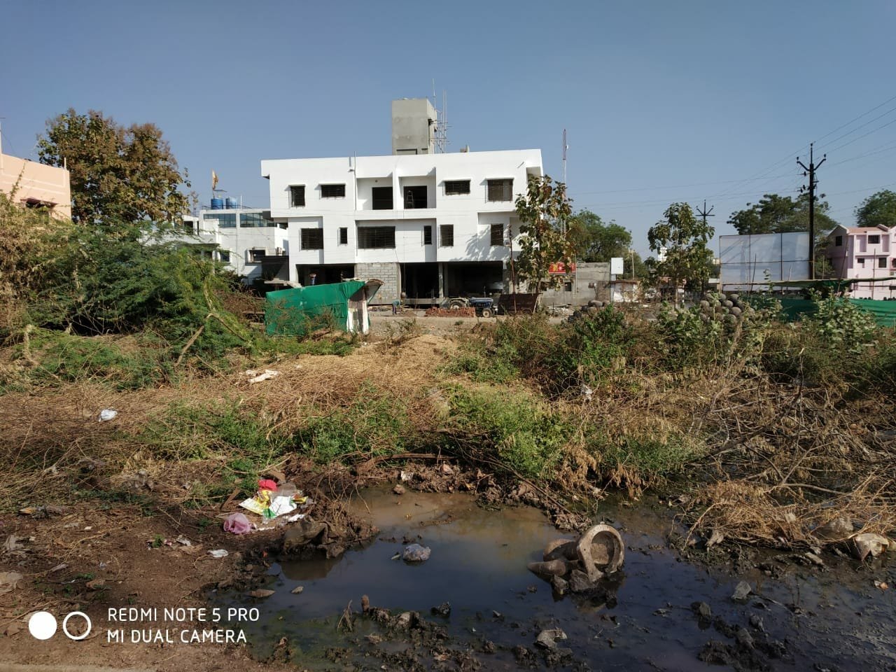 भाजपा कार्यकर्ताओं ने चलाया स्वच्छता अभियान: दिया स्वच्छता का संदेश, केंद्रीय रक्षा राज्यमंत्री डॉक्टर सुभाष भामरे ने फिता काट कर धुल मुक्त स्वच्छ शहर संकल्पना अभियान का किया उद्घाटन | New India Times