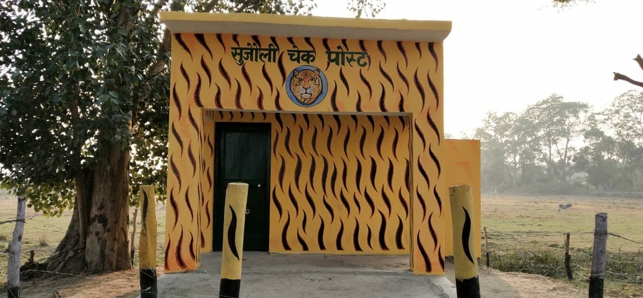 न साधन न संसाधन कैसे करें शिकारियों व वन माफियाअों का मुकाबला, बिना स्टाफ ही वन विभाग ने चलाये कई सर्च आपरेशन | New India Times