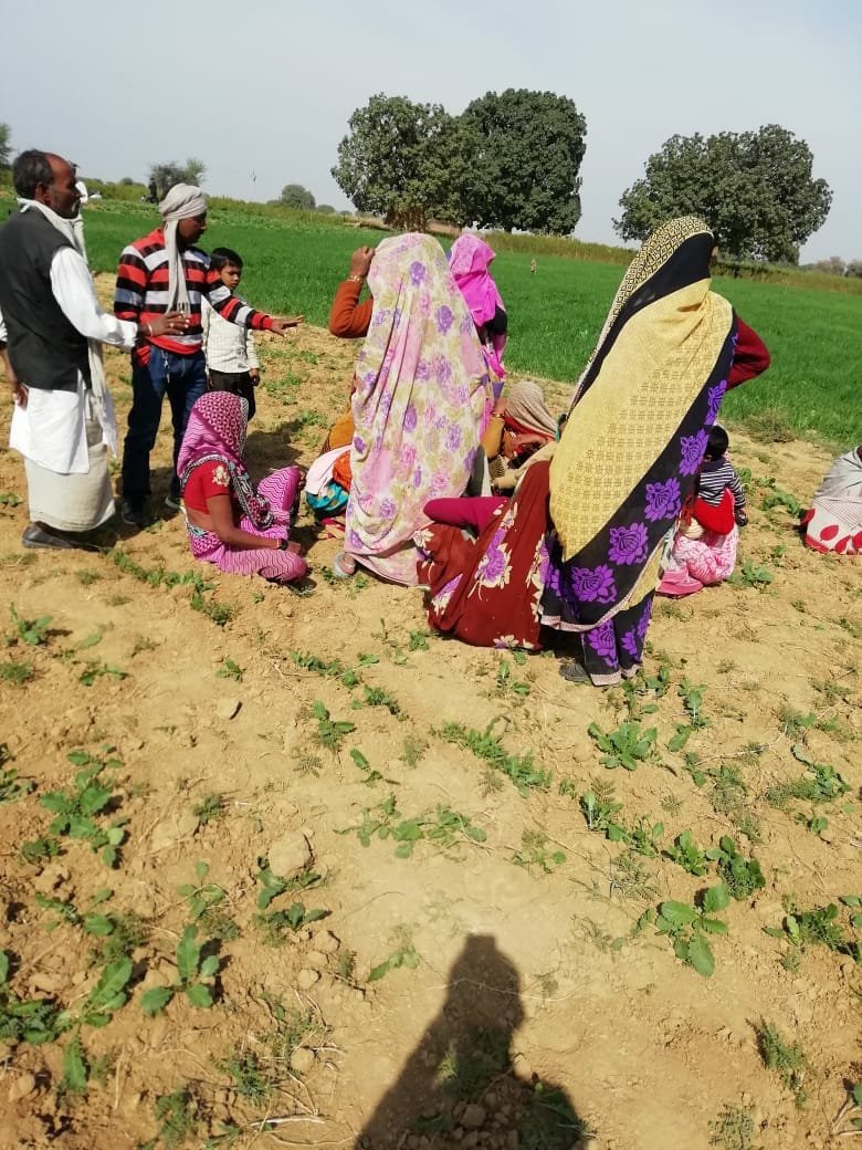 प्रेम प्रसंग के चलते युवक ने फांसी लगाकर दी जान | New India Times