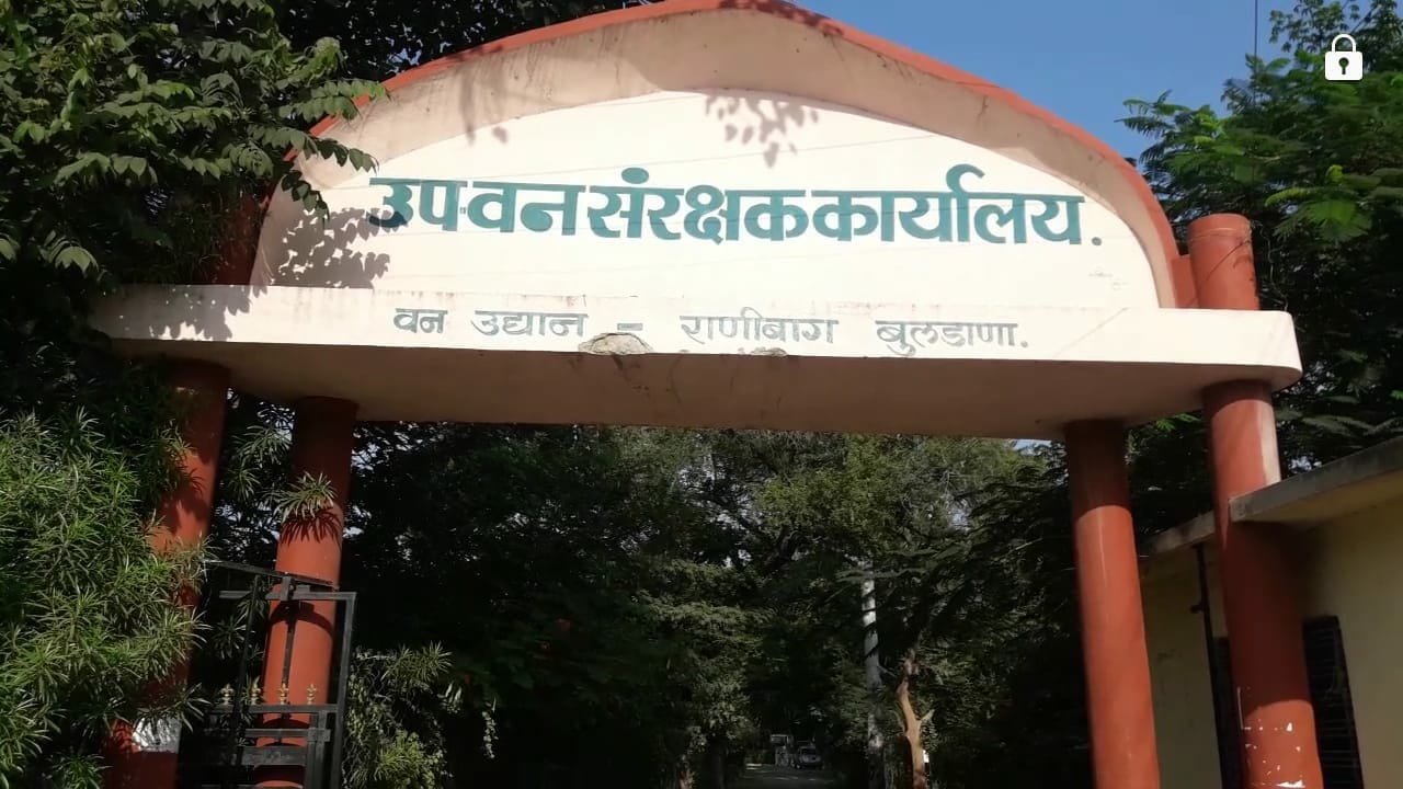 बुलढाणा में DFO कार्यालय के अहाते में मौजूद पेडों पर चलाई आरी, अवैध तरीके से कई पेडों को काटा गया | New India Times