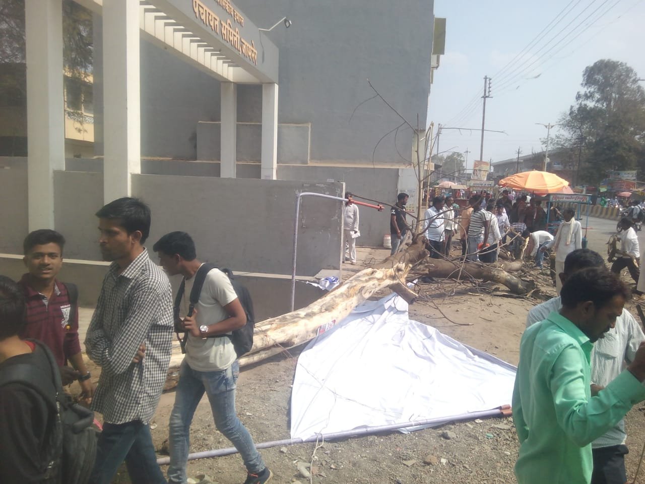 अचानक धड़ाम से गिरा पेड, बाल बाल बचे मां-बेटे | New India Times