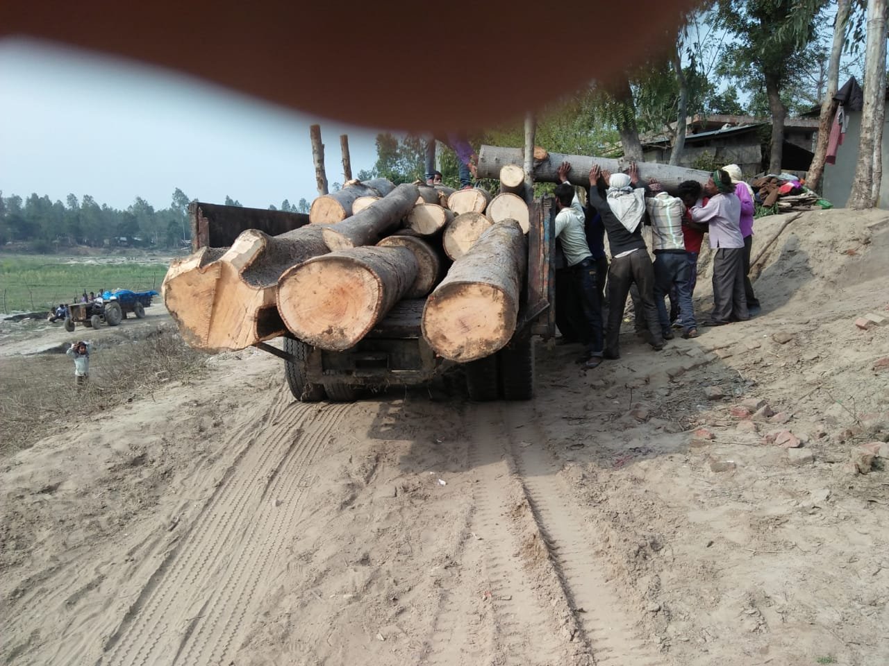 महेशपुर रेंज में राजनेताओं के संरक्षण व प्रशासन की मिलीभगत से कई स्थानों पर धड़ल्ले से हो रहा है अवैध कटान | New India Times