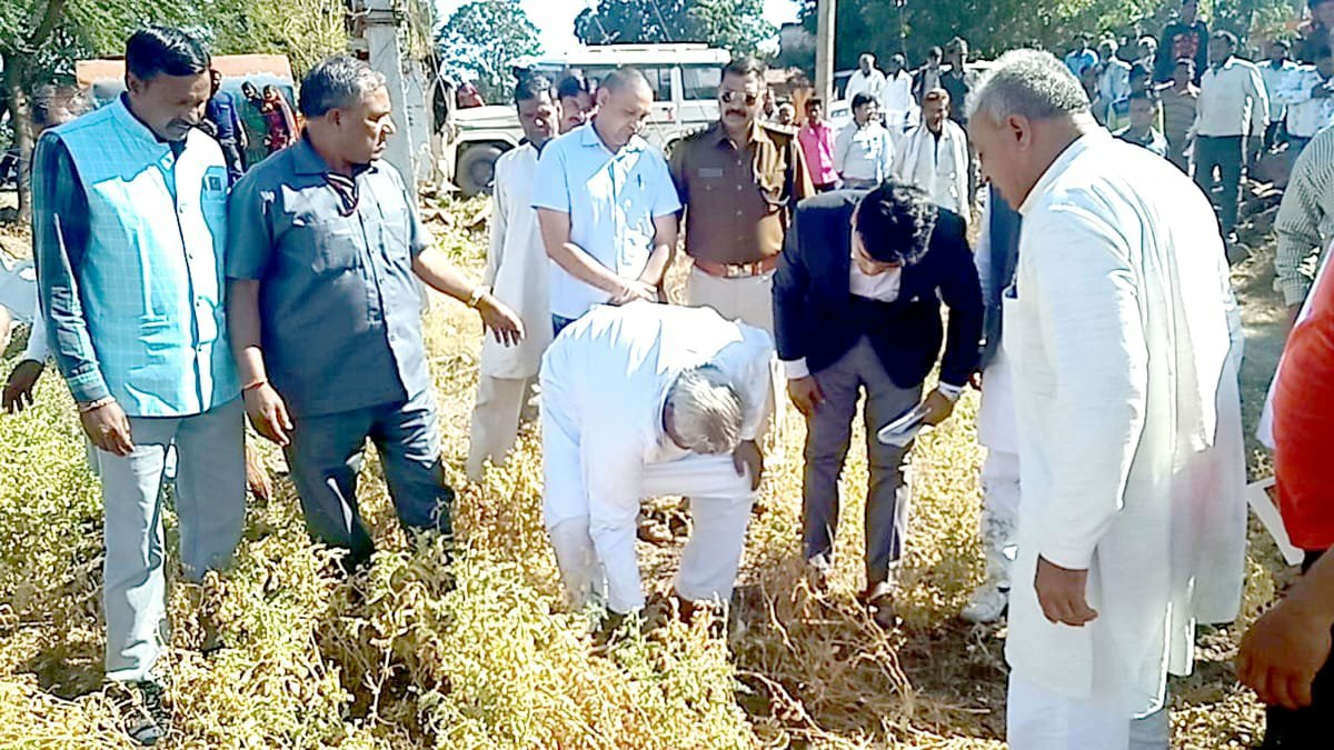 मध्यप्रदेश के सीहोर ज़िला में मंत्री आरिफ अकील ने किया ओला वृष्टि से प्रभावित फसलों का निरीक्षण | New India Times