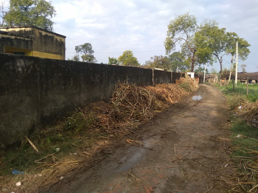 पंचायत भवन बना जानवरों का बसेरा, स्वच्छ भारत अभियान को लगाया जा रहा है पलीता | New India Times