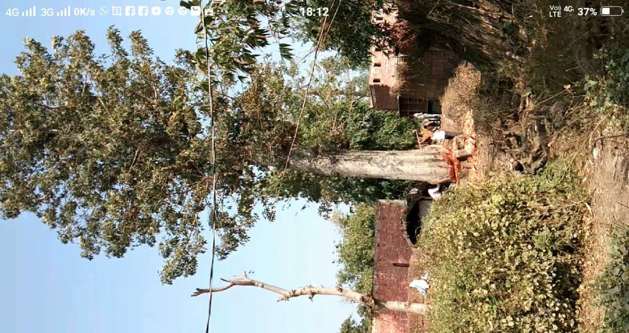 महेशपुर रेंज में राजनेताओं के संरक्षण व प्रशासन की मिलीभगत से कई स्थानों पर धड़ल्ले से हो रहा है अवैध कटान | New India Times