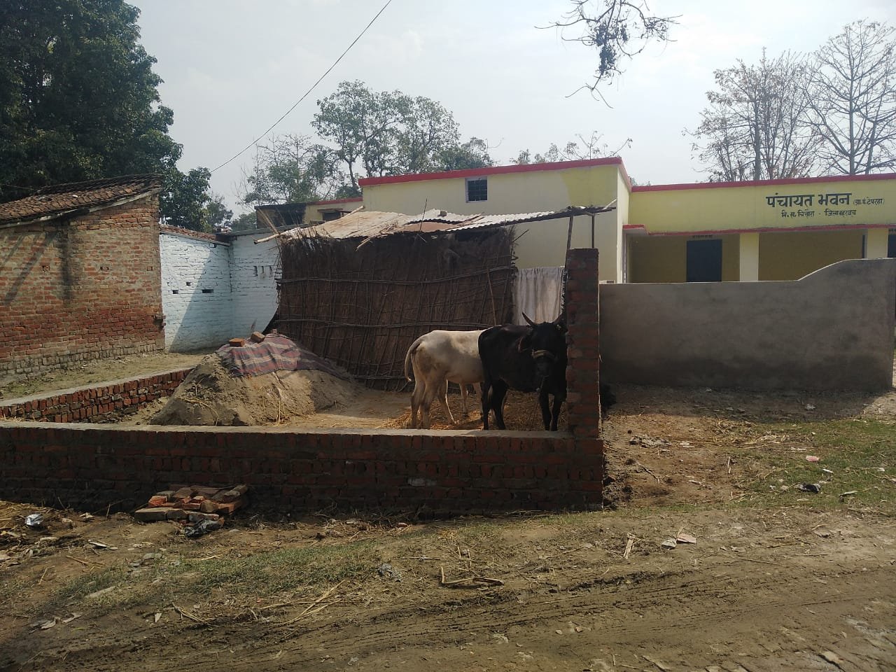 पंचायत भवन के आगे टीन शेड लगाकर दबंग ने किया सरकारी जमीन पर कब्जा | New India Times