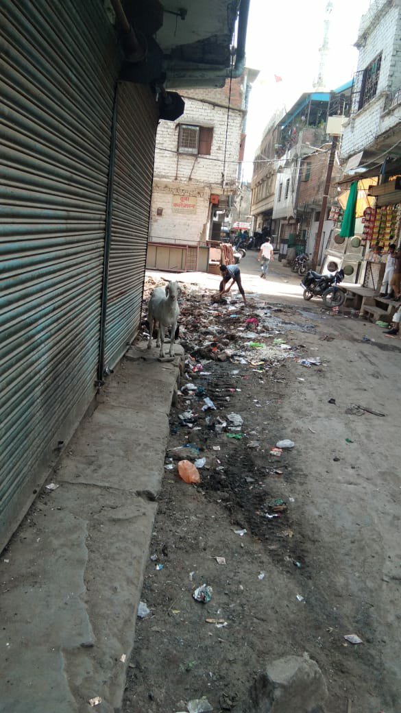 भोपाल का सुंदर नगर नगर निगम की लापरवाही से दिख रहा है बदसूरत | New India Times