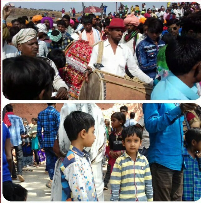 श्रद्धा के साथ मनाया महाशिवरात्रि का पावन पर्व | New India Times