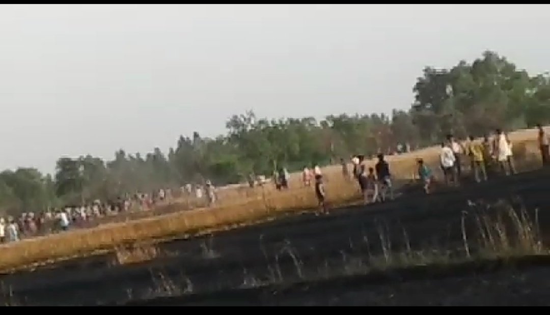 बिज़ली के तार से निकली चिंगारी से गेहूं की फसल में लगी आग, पांच बीघा गेहूं की फसल जलकर राख | New India Times
