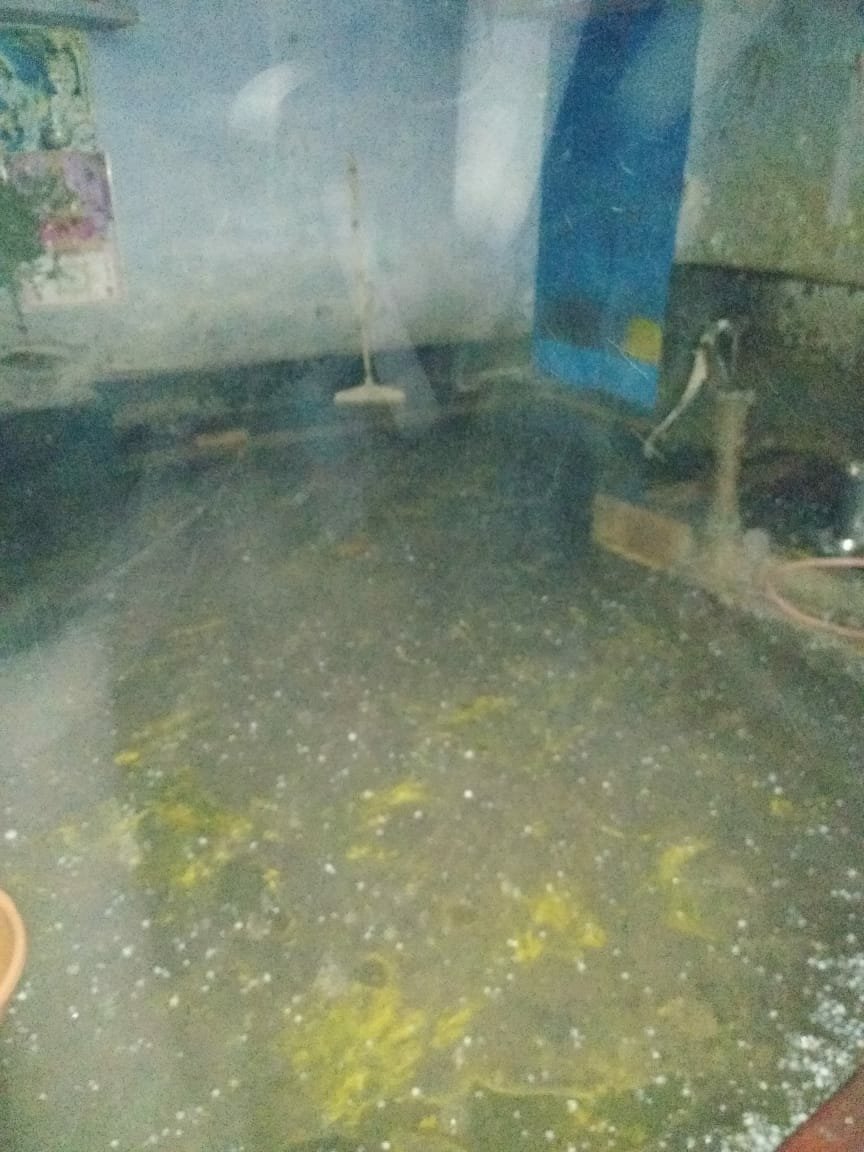 उत्तर प्रदेश के बहराइच जिला में अचानक बारिश के पड़े ओले, फसलों को हुआ बड़ा नुकसान, बारिश के साथ बर्फ गिरने के बाद भी तपती रही धरती | New India Times