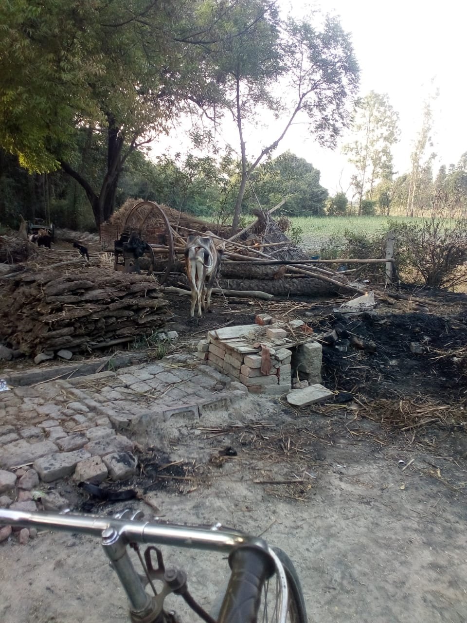 खाना बनाते समय लगी आग से दो घर जल कर राख | New India Times