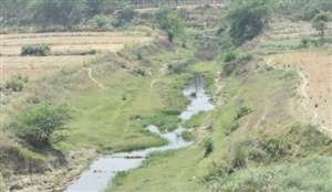 पिरई नदी का अस्तित्व खतरे में | New India Times