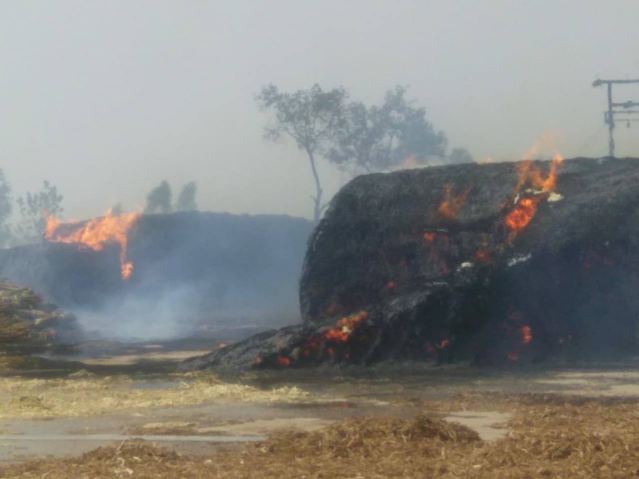 अचानक लगी आग से हुआ लाखों का नुकसान | New India Times