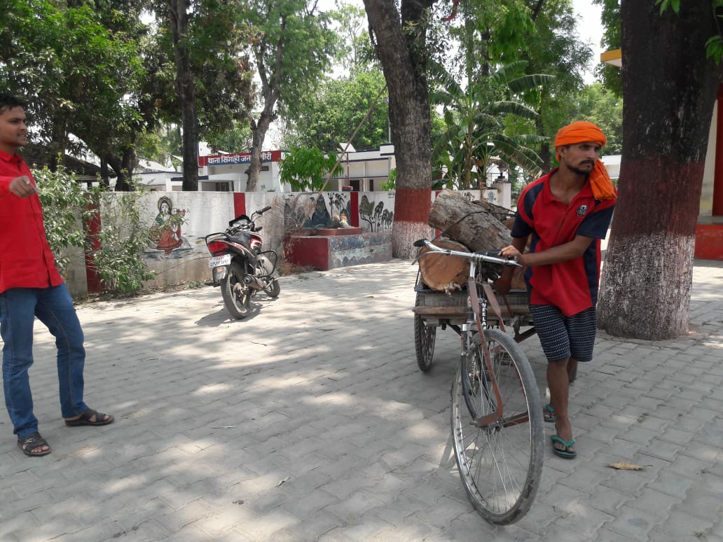 क्या पुलिस और वन विभाग की मिलीभगत से हो रहा है पेड़ों का अवैध कटान? अवैध रूप से काट गये लकड़ी को पहले पकड़ने फिर मोटी रकम वसूल कर छोड़ने का वन विभाग पर आरोप | New India Times