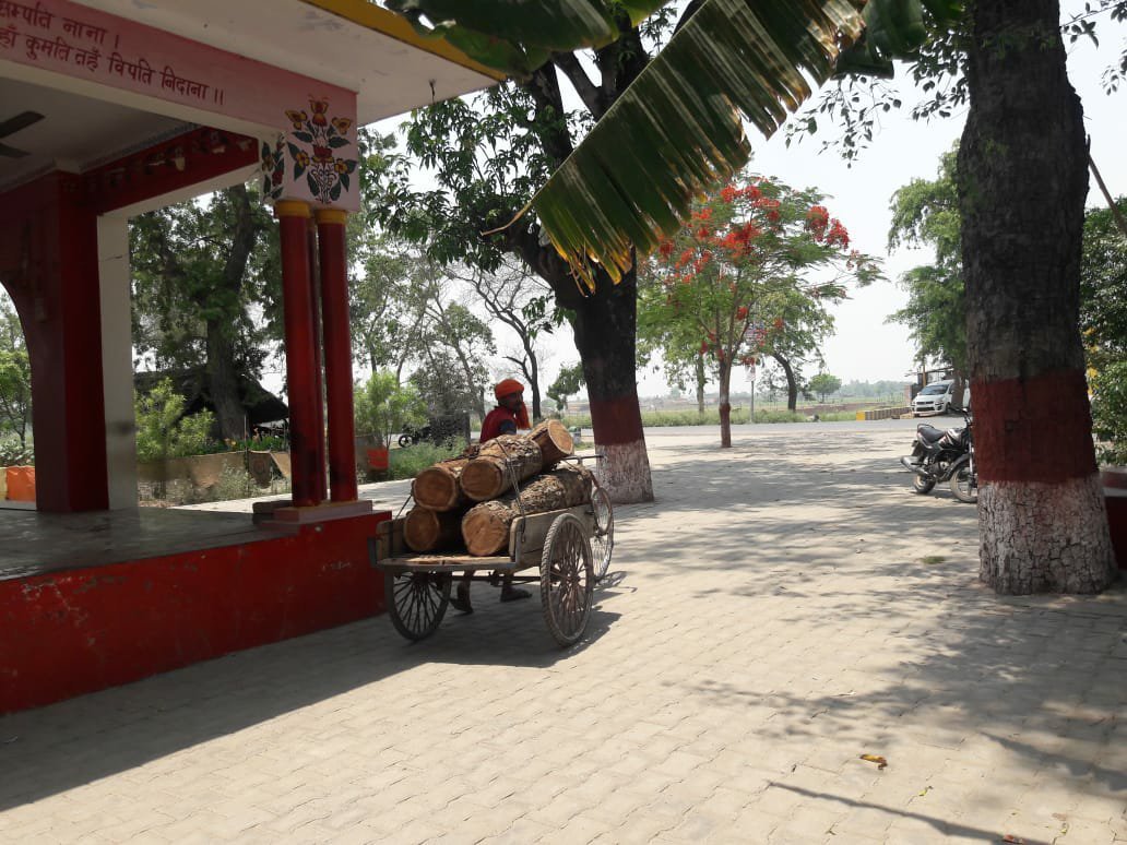 क्या पुलिस और वन विभाग की मिलीभगत से हो रहा है पेड़ों का अवैध कटान? अवैध रूप से काट गये लकड़ी को पहले पकड़ने फिर मोटी रकम वसूल कर छोड़ने का वन विभाग पर आरोप | New India Times