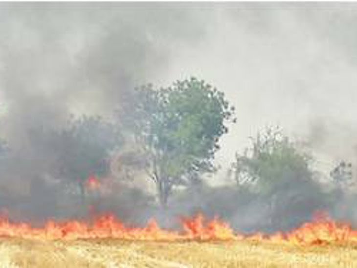 नरवाई में आग लगाने पर किसान के खिलाफ हो सकती है धारा 188 की कार्रवाई, नरवाई में आग लगाना दंडनीय अपराध: आईपीएस पुनीत गहलोद | New India Times