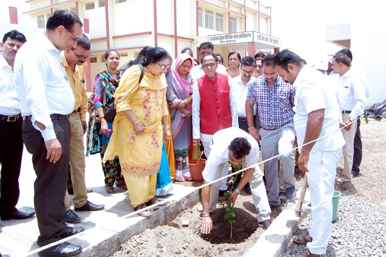 विश्व पर्यावरण दिवस पर ज़िला कोर्ट में आयोजित हुआ कार्यक्रम | New India Times