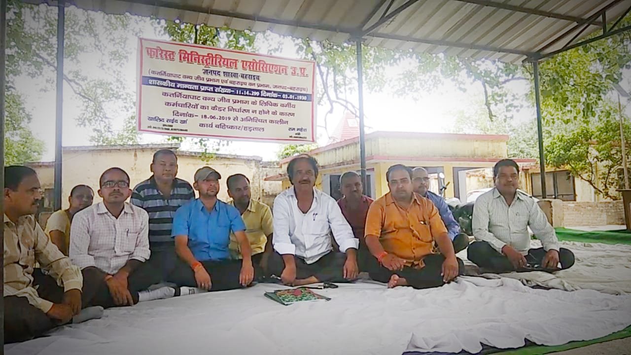 बहराइच वन कर्मचारी कार्य बहिष्कार कर बैठे धरने पर | New India Times