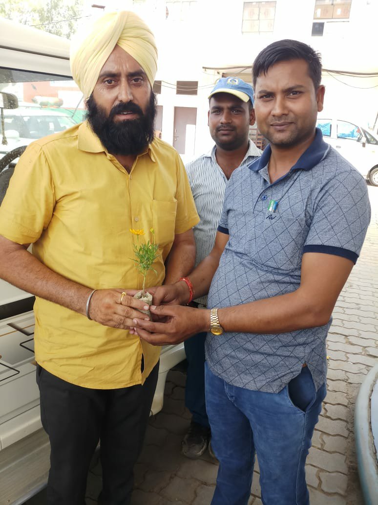 विश्व पर्यावरण दिवस के उपलक्ष्य में गोला नेहरू युवा केंद्र लखीमपुर के अंतर्गत किया गया वृक्षारोपण | New India Times