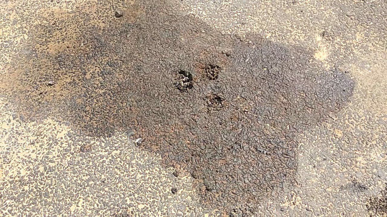 एनकाउंटर में दो अपराधियों को मार गिराने के पुलिसिया दावे की परिजनों ने खोली पोल | New India Times