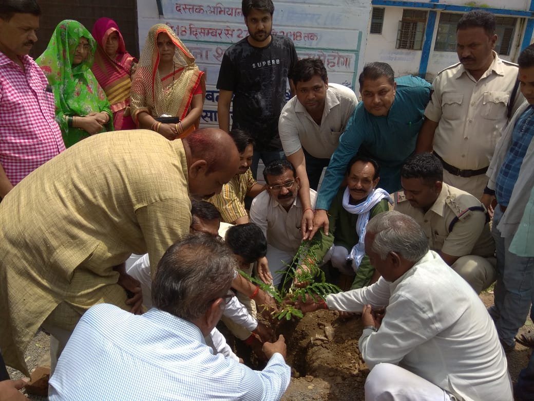 सामुदायिक स्वास्थ्य केंद अमानगंज में किया गया पौधारोपण | New India Times