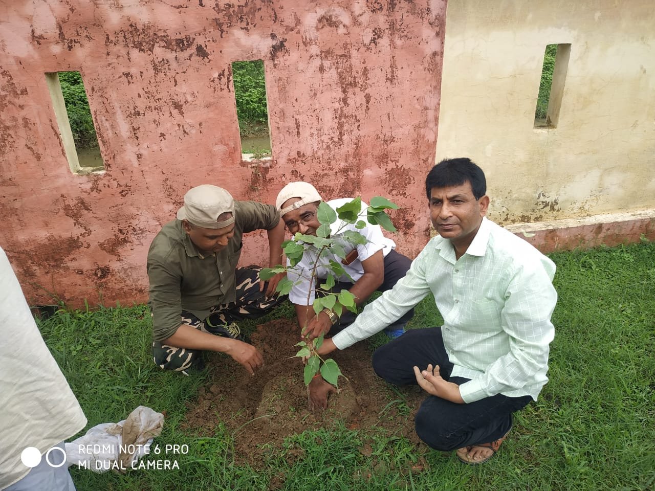 प्राथमिक स्वास्थ्य केंद्र सलारपुर में बिरवा फाउंडेशन ने किया वृक्षारोपण | New India Times