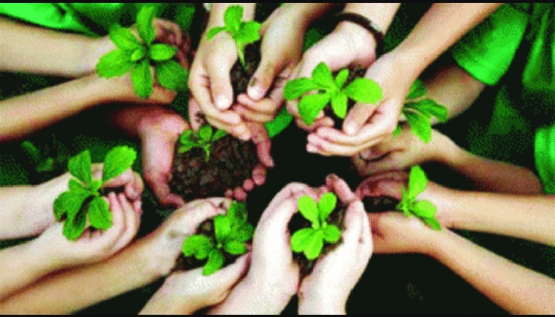 पौधारोपण अभियान में आम आदमी की भागीदारी होगी: वन मंत्री श्री सिंघार, वन मंत्री को मोबाइल पर मिस्ड कॉल देकर अभियान में करा सकते हैं पंजीयन | New India Times