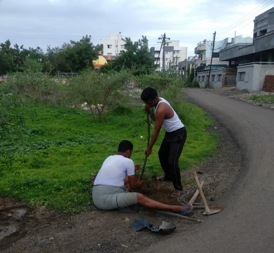 निरभ्र निर्भय फाउंडेशन ने किया पौधारोपण | New India Times