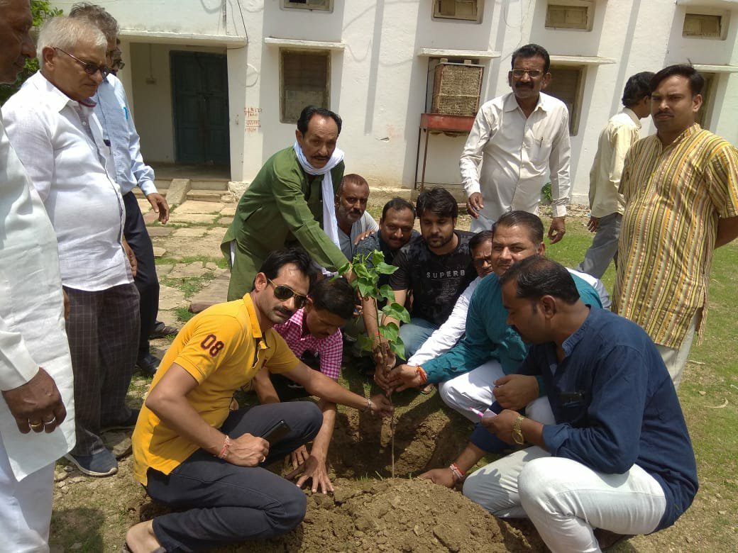 सामुदायिक स्वास्थ्य केंद अमानगंज में किया गया पौधारोपण | New India Times
