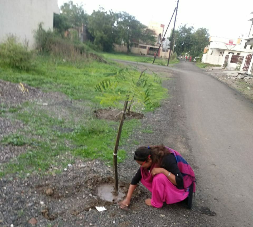 निरभ्र निर्भय फाउंडेशन ने किया पौधारोपण | New India Times