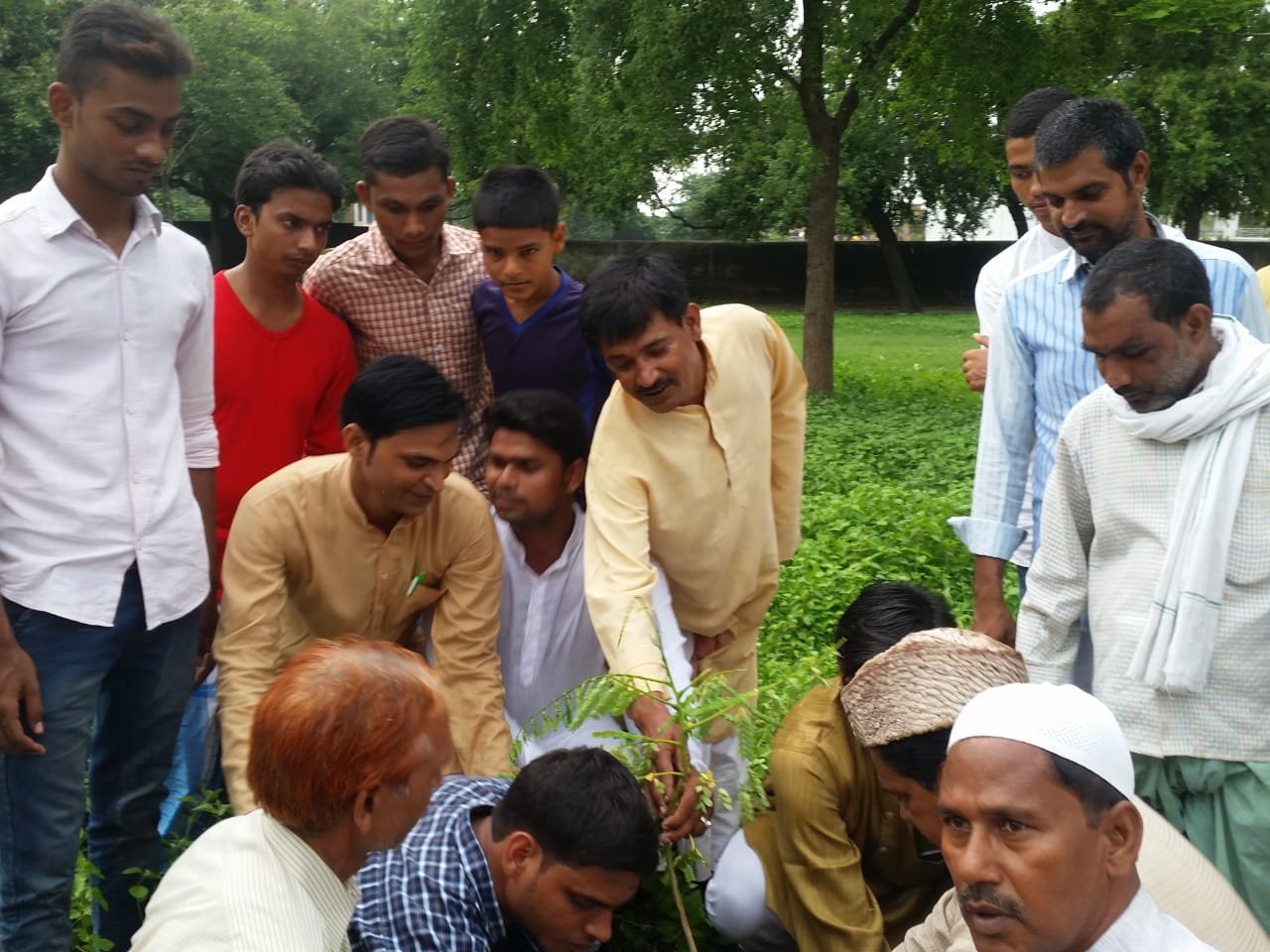 मुबारकपुर शहर के एक कब्रिस्तान में किया गया वृक्षारोपण | New India Times