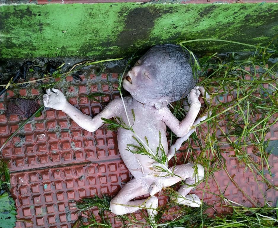 भोपाल के श्यामला हिल्स थाना क्षेत्र स्थित बड़े तालाब में एक नवजात शिशु की लाश मिलने से फैली सनसनी | New India Times