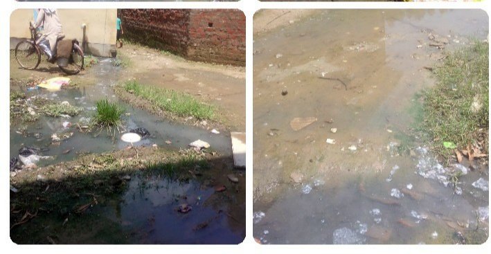 क्या अपने वार्ड की जिम्मेदारी बीजेपी के सभासद इसी तरह निभाएंगे??? | New India Times