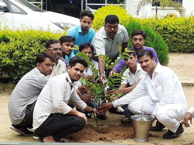 हाजी नवाब अली डिग्री कॉलेज लहरपुर में वृक्षारोपण कार्यक्रम का आयोजन | New India Times