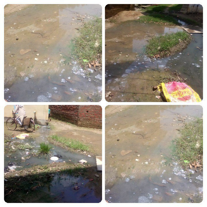 क्या अपने वार्ड की जिम्मेदारी बीजेपी के सभासद इसी तरह निभाएंगे??? | New India Times