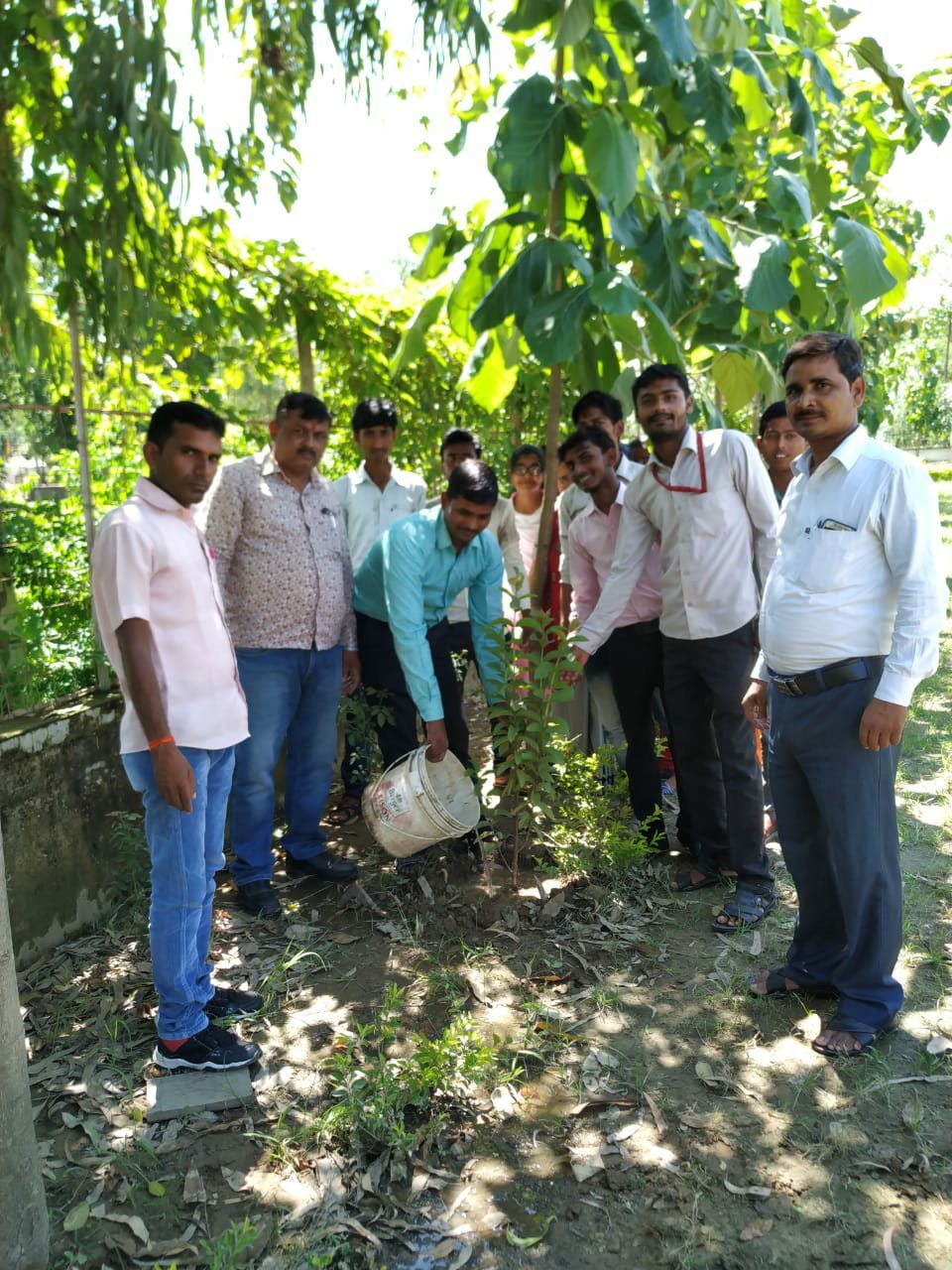 डिग्री कॉलेज के विद्यार्थियों द्वारा 485 वृक्षों का शकुसल किया गया रोपण 2 डिग्री कॉलेज के विद्यार्थियों द्वारा 485 वृक्षों का शकुसल किया गया रोपण | New India Times