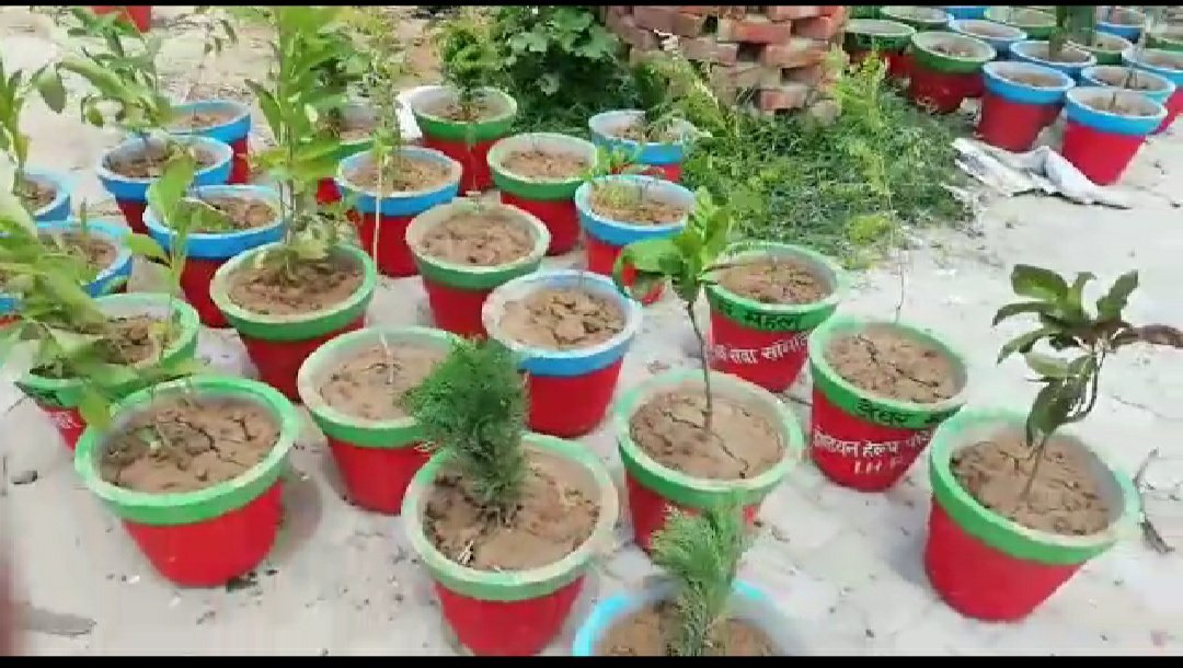 ज़ेवर महल के प्रोपराइटर सुलेमान शमसी व तालीमी बेदारी के अध्यक्ष मसरूर अहमद द्वारा तथा समाज सेवी दुबई के कारोबारी गुड्डू मिर्जा बेग की मौजूदगी में सैकड़ों पौधे लगे गमलों का किया गया वितरण 3 ज़ेवर महल के प्रोपराइटर सुलेमान शमसी व तालीमी बेदारी के अध्यक्ष मसरूर अहमद द्वारा तथा समाज सेवी दुबई के कारोबारी गुड्डू मिर्जा बेग की मौजूदगी में सैकड़ों पौधे लगे गमलों का किया गया वितरण | New India Times