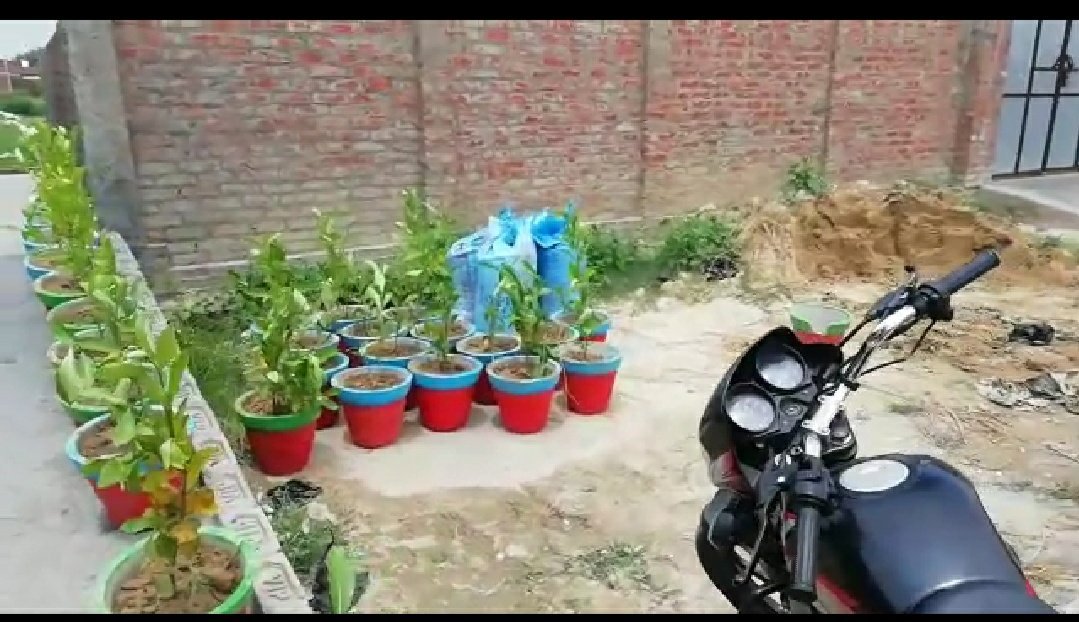 ज़ेवर महल के प्रोपराइटर सुलेमान शमसी व तालीमी बेदारी के अध्यक्ष मसरूर अहमद द्वारा तथा समाज सेवी दुबई के कारोबारी गुड्डू मिर्जा बेग की मौजूदगी में सैकड़ों पौधे लगे गमलों का किया गया वितरण 2 ज़ेवर महल के प्रोपराइटर सुलेमान शमसी व तालीमी बेदारी के अध्यक्ष मसरूर अहमद द्वारा तथा समाज सेवी दुबई के कारोबारी गुड्डू मिर्जा बेग की मौजूदगी में सैकड़ों पौधे लगे गमलों का किया गया वितरण | New India Times