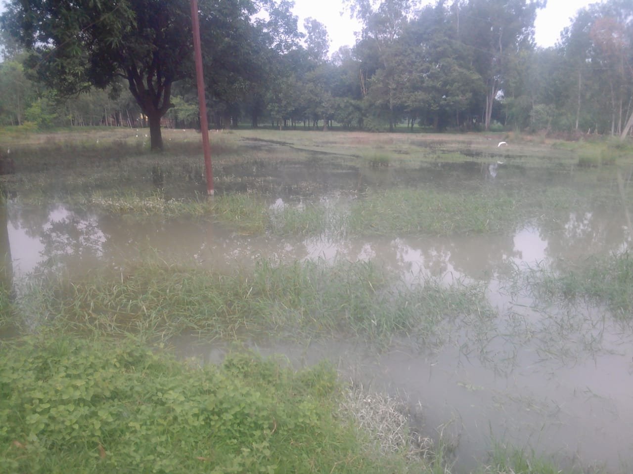 लहरपुर क्षेत्र से गुजरने वाली तेंदुआ माइनर नहर फटी, पानी बर्बाद होने से सिंचाई को लेकर किसान परेशान | New India Times