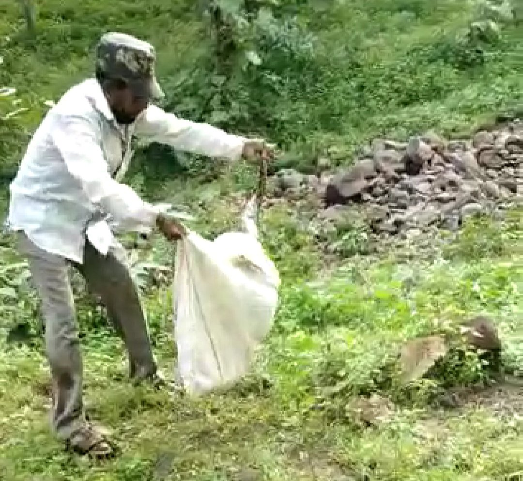 जहरीले जंगली जानवरों को पकड़ने में माहिर हैं सहा. वनपाल मोहम्मद अंसार | New India Times