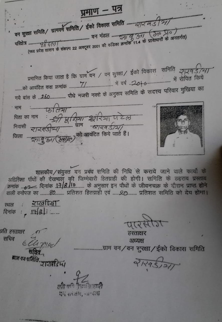 कांग्रेस की सरकार में आदिवासियों का हो रहा है खुलकर शोषण, आदिवासियों की जमीनों पर हो रहा है अवैध कब्जा | New India Times