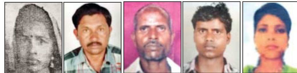 पन्ना जिला के पांच मजदूरों का हरियाणा में निर्मम हत्या | New India Times